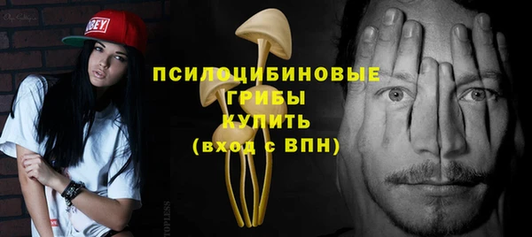дмт Арсеньев