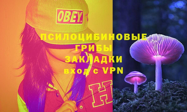 дмт Арсеньев
