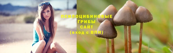 дмт Арсеньев