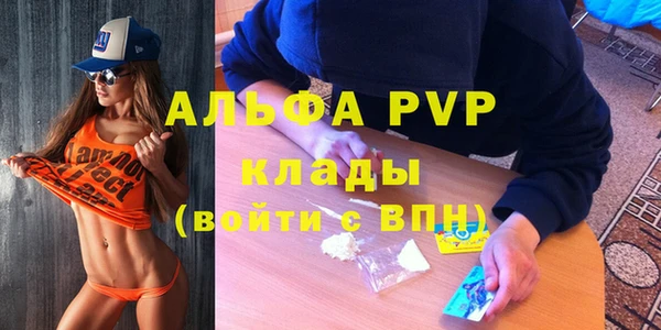 дмт Арсеньев