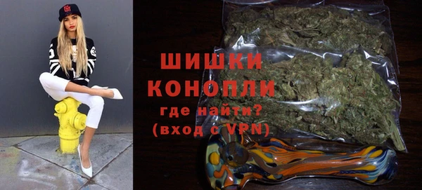 дмт Арсеньев